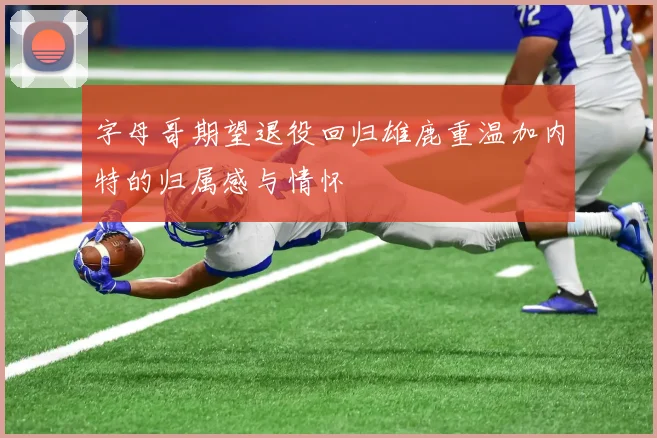 字母哥期望退役回归雄鹿重温加内特的归属感与情怀