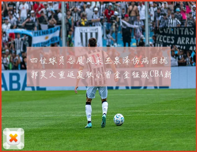 四位球员各展风采王泉泽伤病困扰郭昊文重返夏联小曾金金征战CBA新赛季